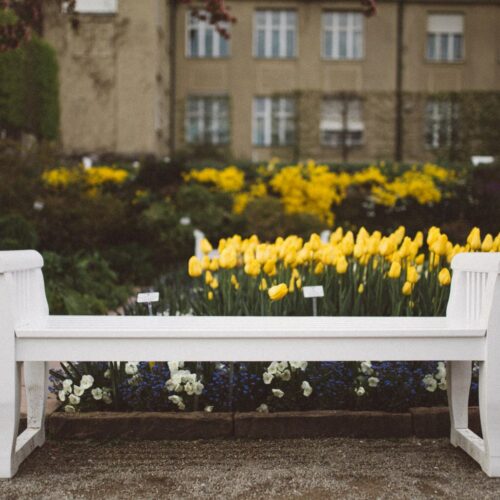 Hausmeisterservice-karlsruhe-12