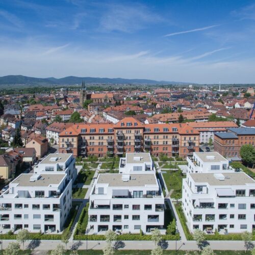Hausmeisterservice-karlsruhe-6